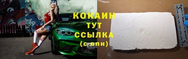 хмурый Арсеньев