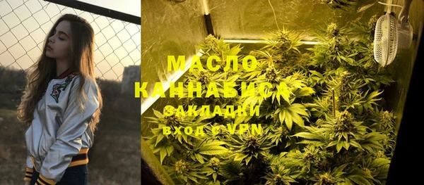 хмурый Арсеньев