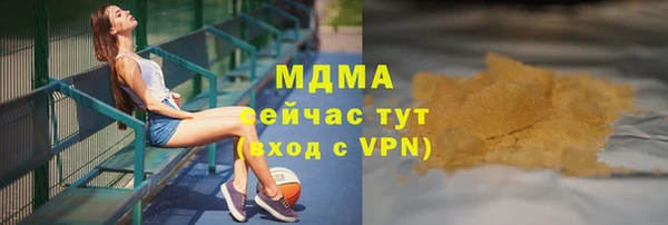 хмурый Арсеньев